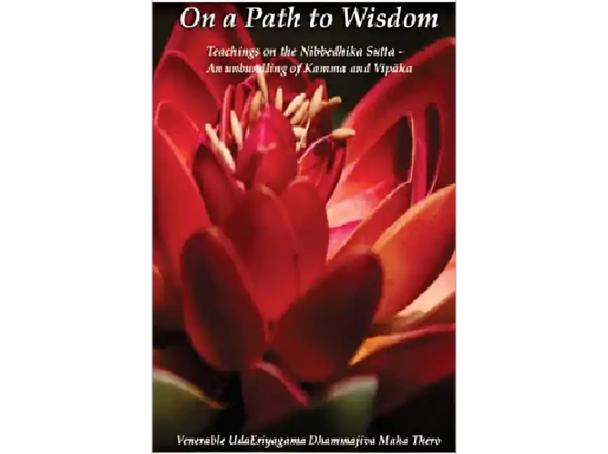 On a Path to Wisdom