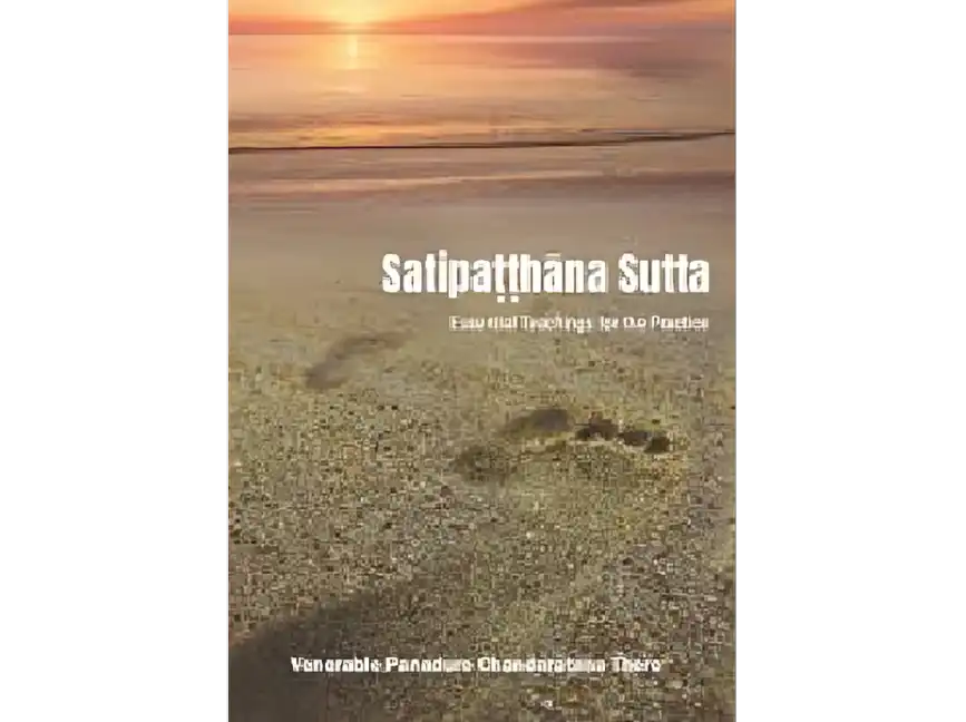 Satipaṭṭhāna: Essential Teachings for the Practice