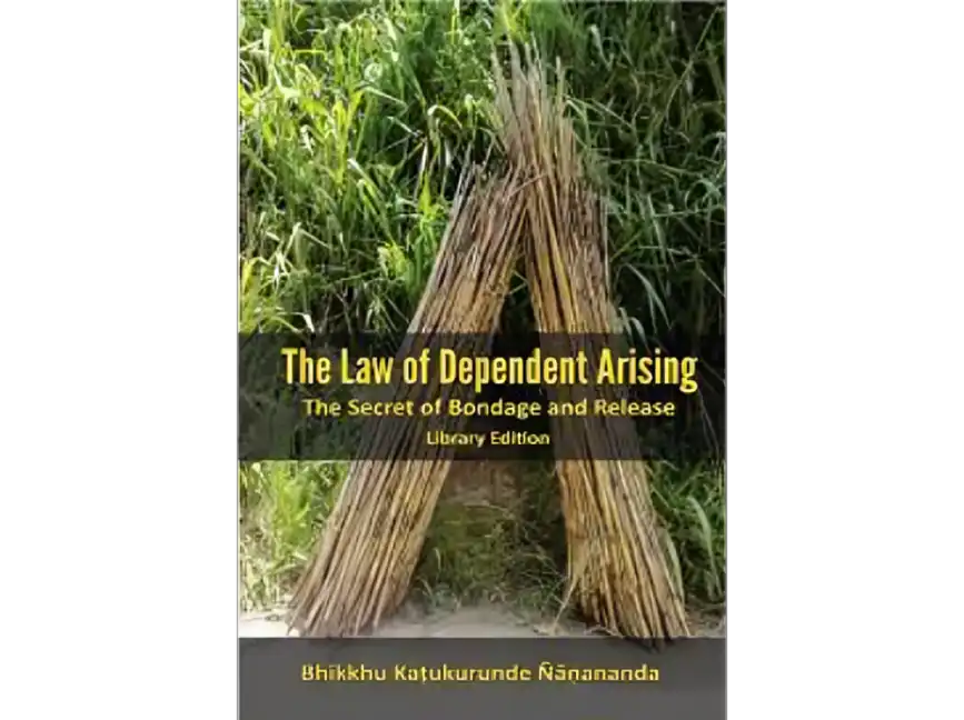 The Law of Dependent Arising